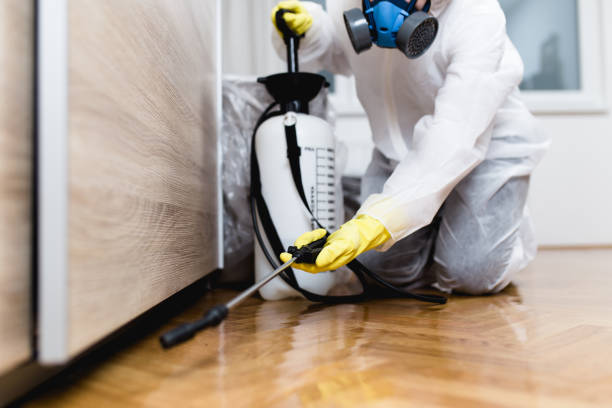 Reliable Strathmore, CA Pest Control Solutions