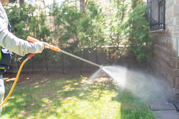 Best Wasp Removal Services  in Strathmore, CA