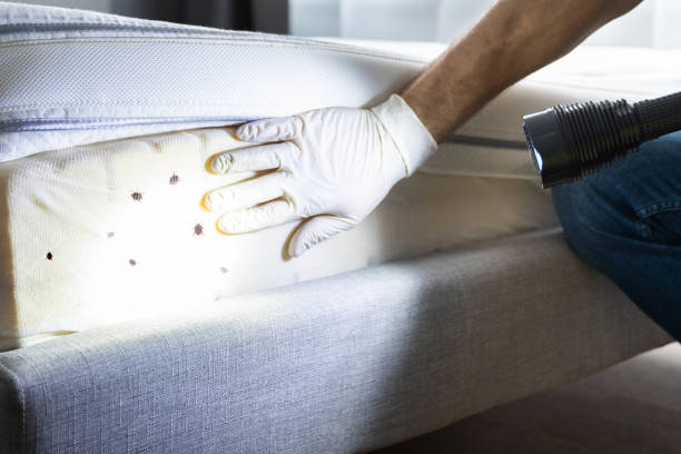  Strathmore, CA Pest Control Pros
