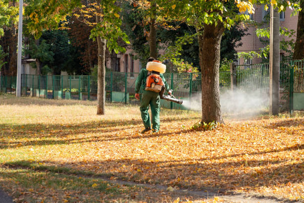 Best Best Pest Control Companies  in Strathmore, CA