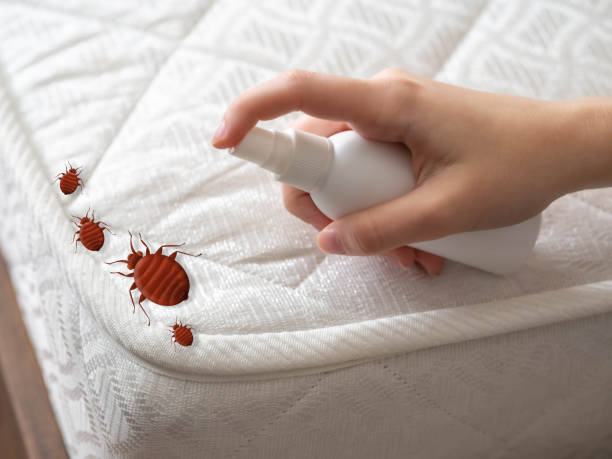 Best Residential Pest Control  in Strathmore, CA