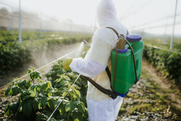 Best Cockroach Control Services  in Strathmore, CA